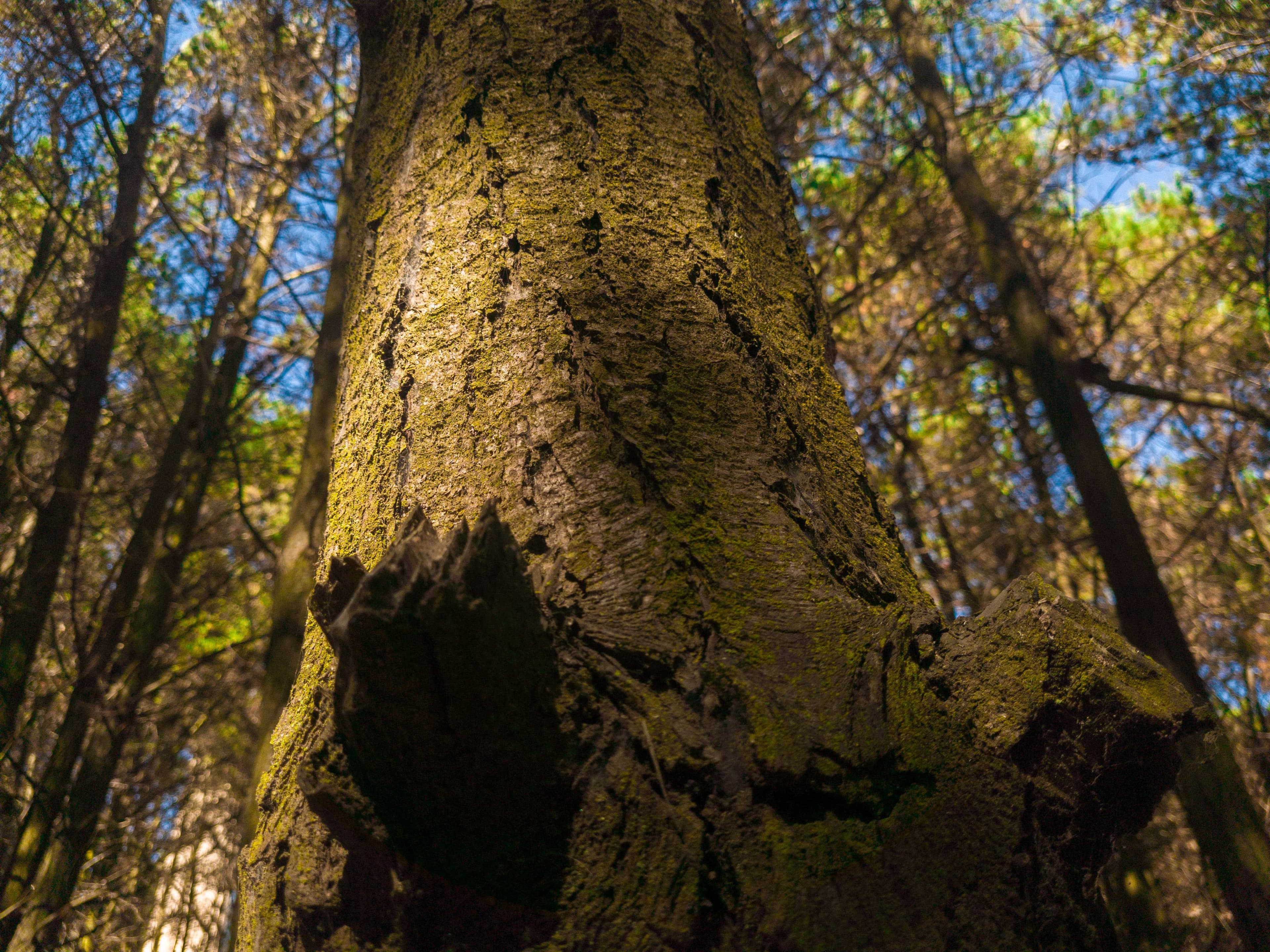 Fotografía Profesional 1