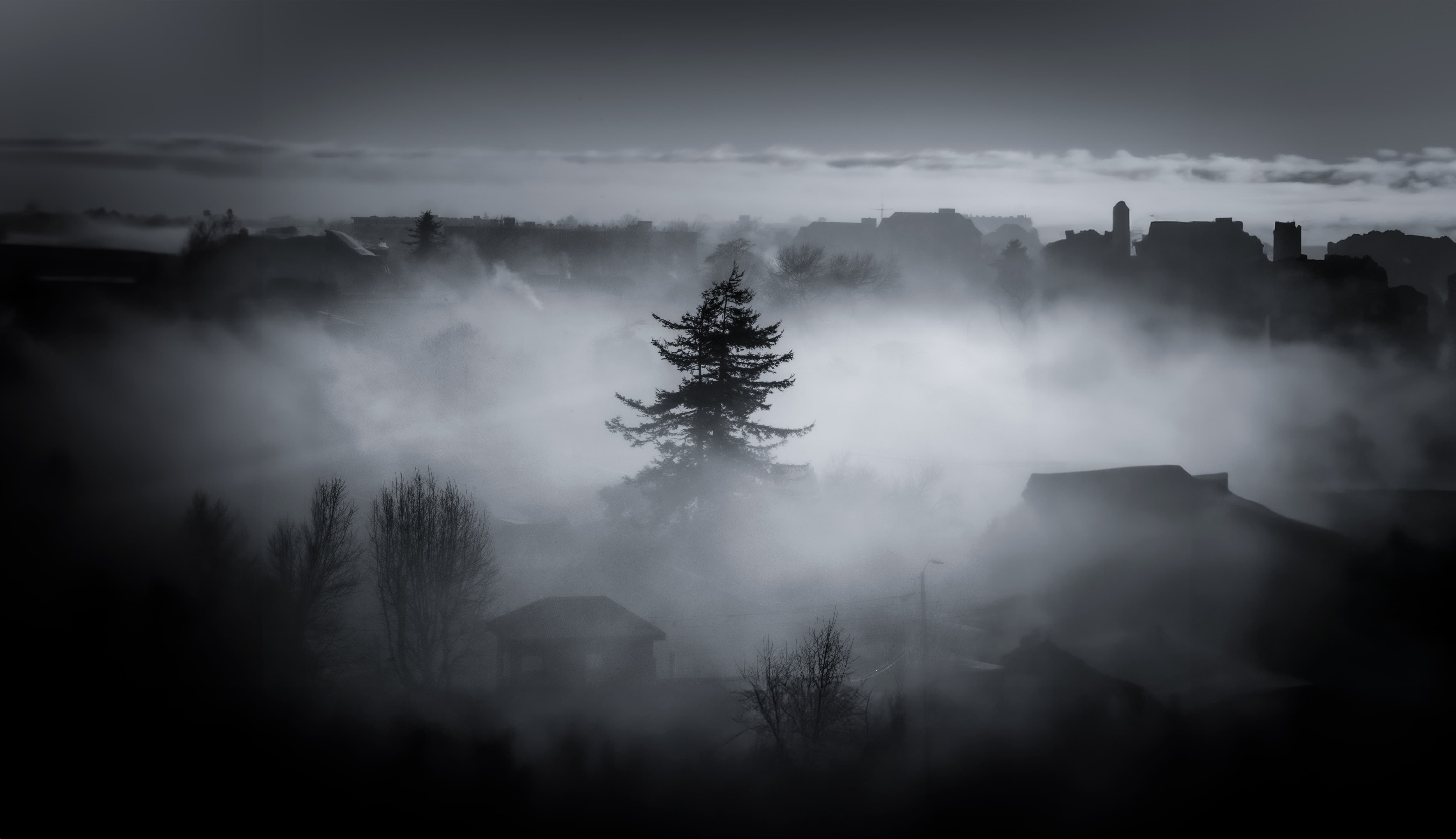 Fotografía Profesional 3